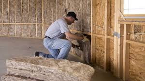 Best Insulation Air Sealing  in Fruitland Park, FL