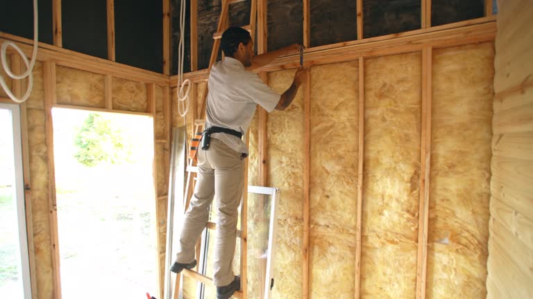 Trusted Fruitland Park, FL Insulation Experts