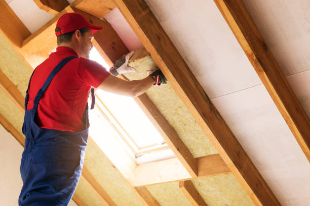 Best Attic Insulation Installation  in Fruitland Park, FL